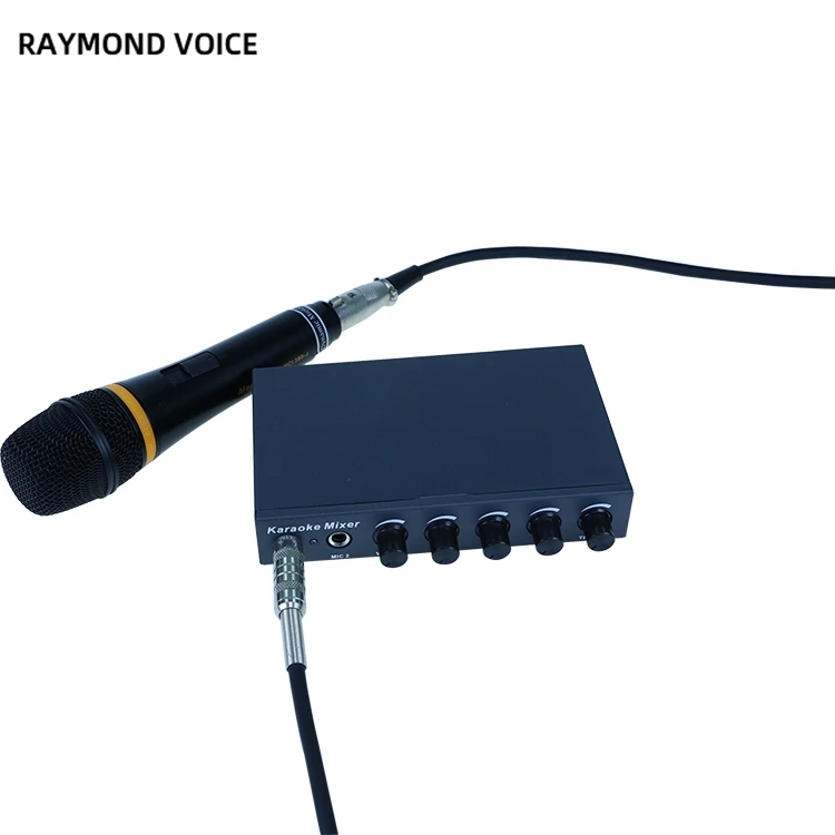 Музыкальная Система Dsp Power мини стерео микшер для проводного микрофона