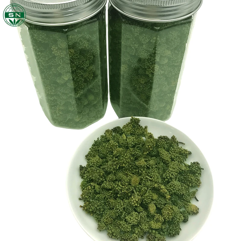 Flower Flavor Tea Dried Flower 100% Natural Sanchi/Notoginseng Flower Tea