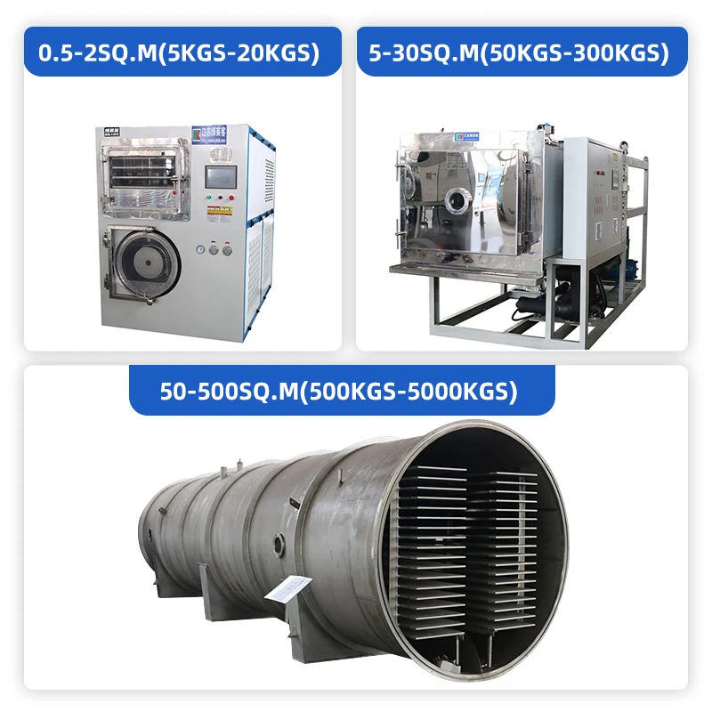 Mango tomato drying machine dry fruit meat dryer freeze drying machine