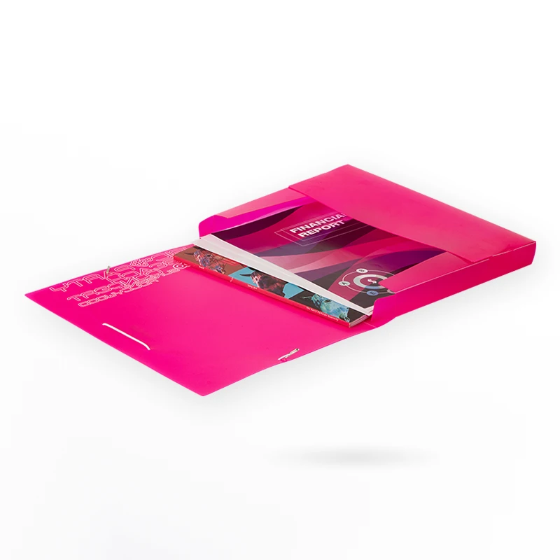 Папка для файлов TOPTEAM PP NEON A4 FC box