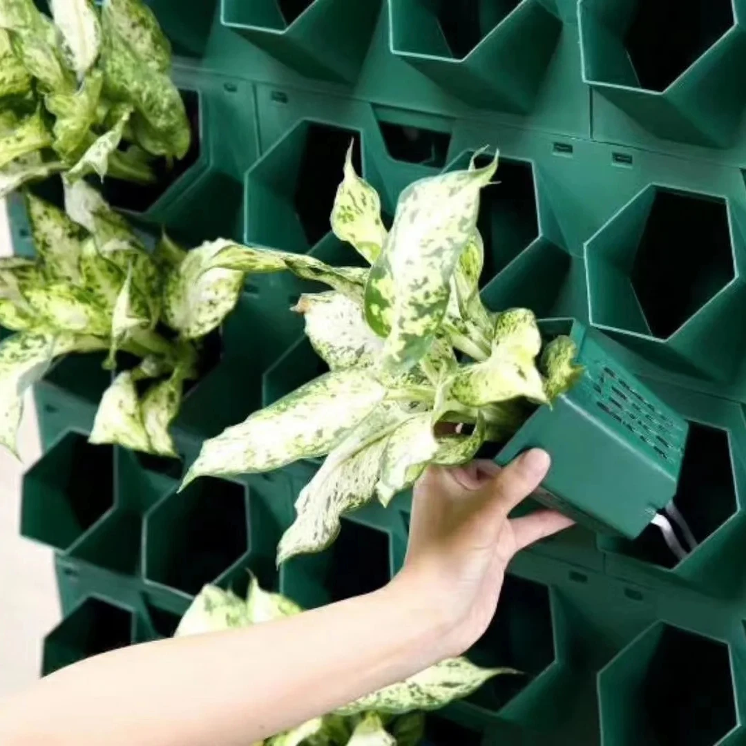 Three-dimensional vertical greening plant wall combined flower pot living real plant wall