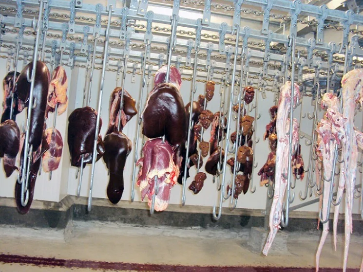 скота бойню процесс