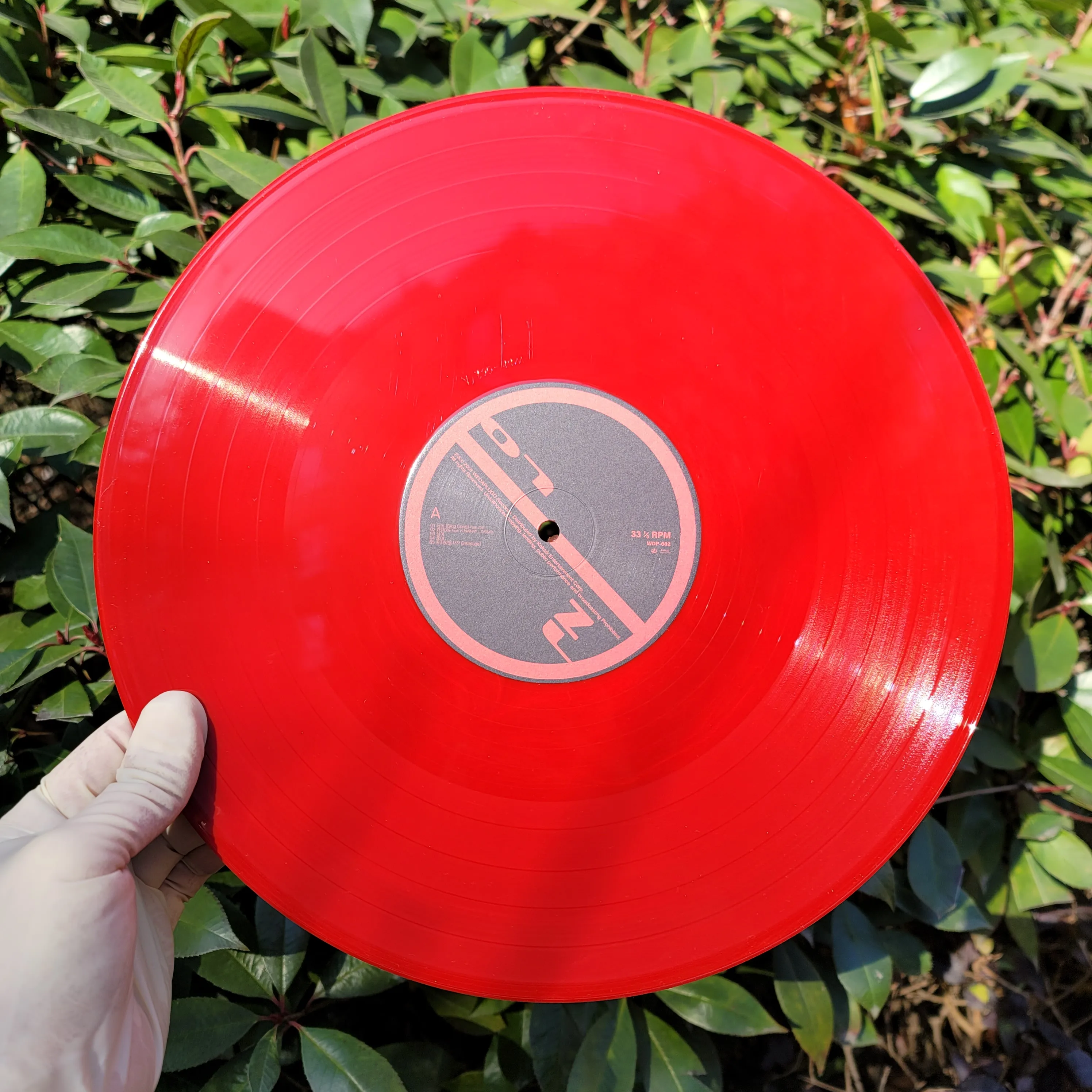 12 виниловых пластинок, музыка, оптовая продажа виниловых пластинок, прессование сплошного цвета, прессование виниловых пластинок