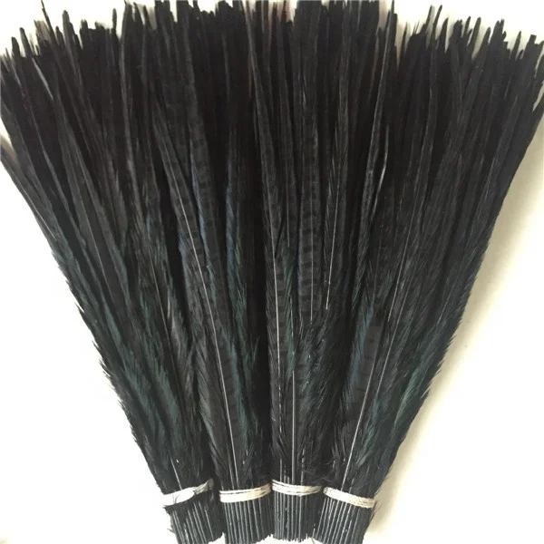 bleached and dyed 50-55cm ringneck pheasant tail feather