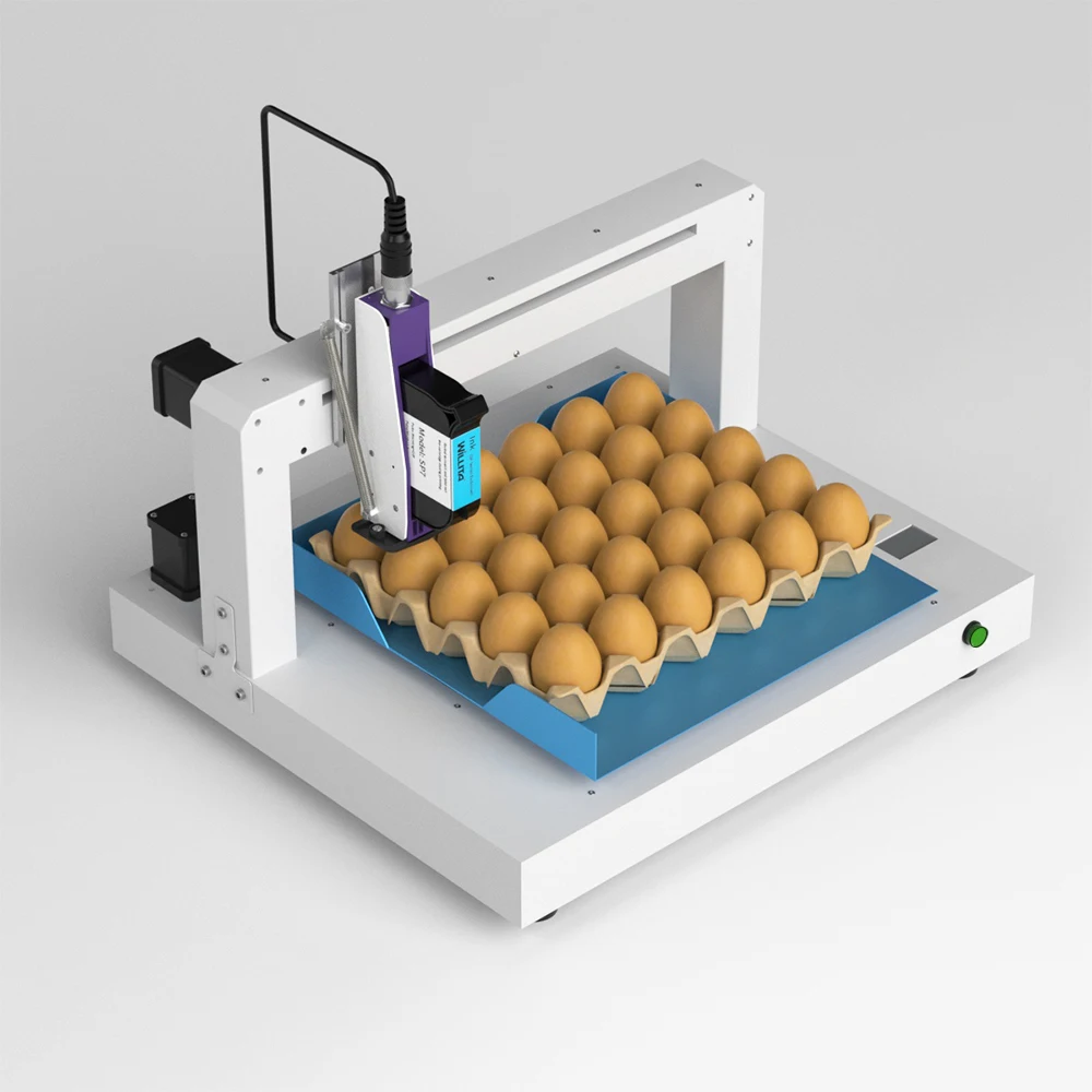 Automatic Egg Inkjet Printer Machine With Conveyor Belt Egg Date Printer Inkjet Printer Coder Expiry