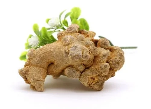 High Quality Radix Notoginseng P.E. pseudo-ginseng extract