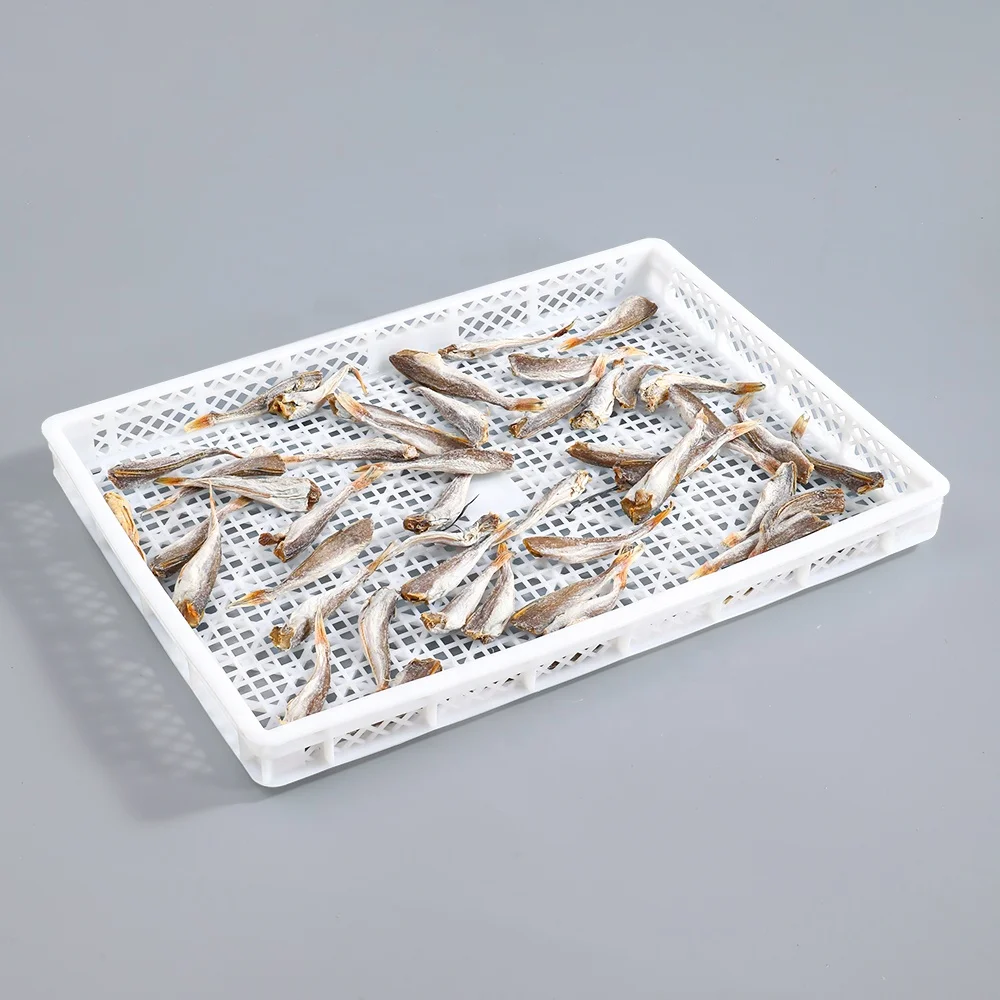 Commercial food processing IQF Blast Freezer Individual Quick Freezing tray for Shrimp / Fish / Seafood / fruits / blueberry