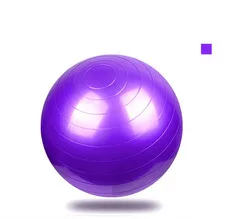 Anti-burst Exercise Balance Stability Fitness Yoga Ball With Air Pump anti-burst balance ball