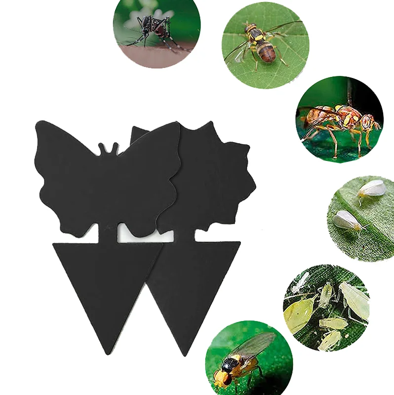 Fruit Fly Traps Multiform Sticky Traps for Flying Plant Insect Like Fungus Gnats