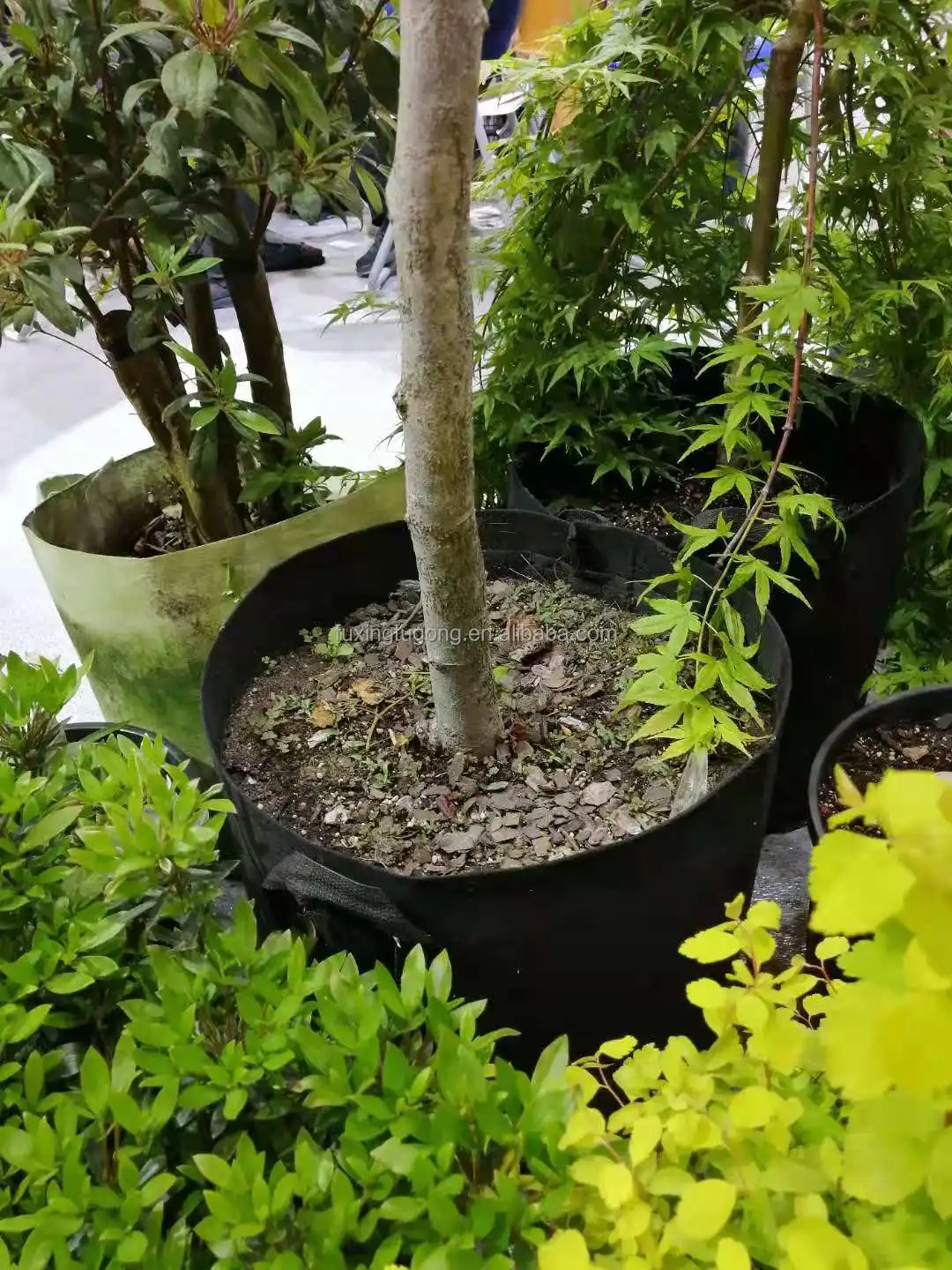 3/5/7/10 gallon Felt potato planting bag non-woven multi-purpose vegetable fruit seedling bag strawberry potato growing bucket