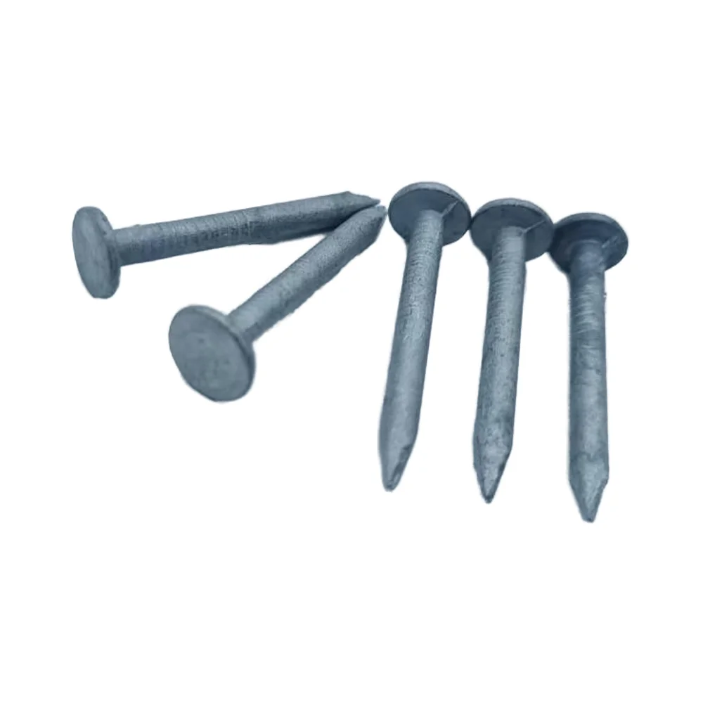 High Quality 1inch 2inch 3inch 4inch Silver Color Yellow Color Galvanized 10Mm Big Head Felt Nail Sale for South America