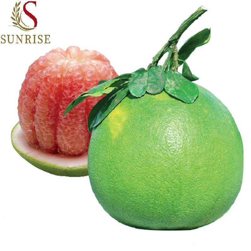 Fresh Grapefruit Pomelo Citrus Fruits (Green skin, pink flesh) Tropical Fruit Export From Vietnam- Whatsap 0084989322607