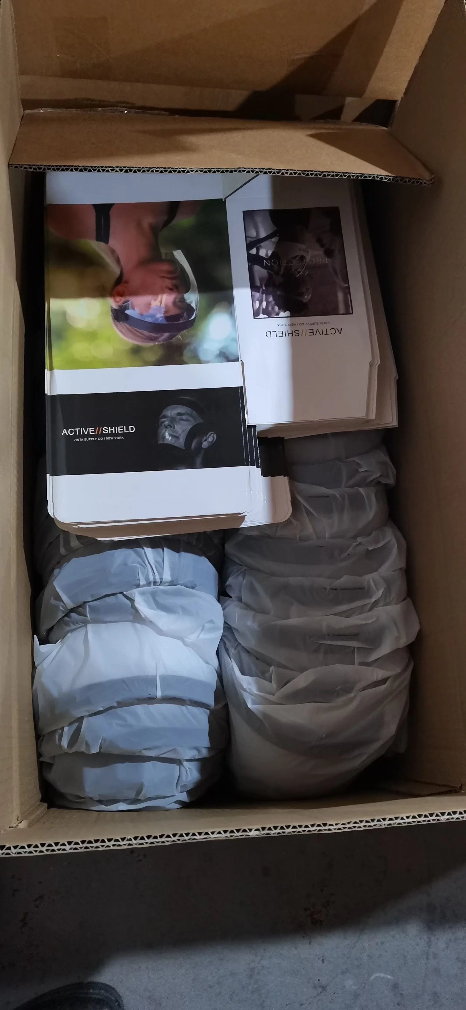 face shield with glasses frame