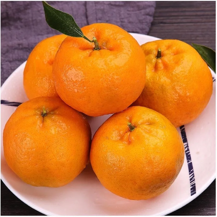 Fresh citrus fruits Navel oranges mandarin fruits wholesale top China citrus mandarin orange