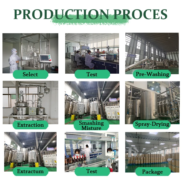 Organic Milk Thistle Seed Extract Milk Thistle Extract Uv80% Or Hplc45%~90% Or Silybins30% Silymarin From Milk Thistle Seeds