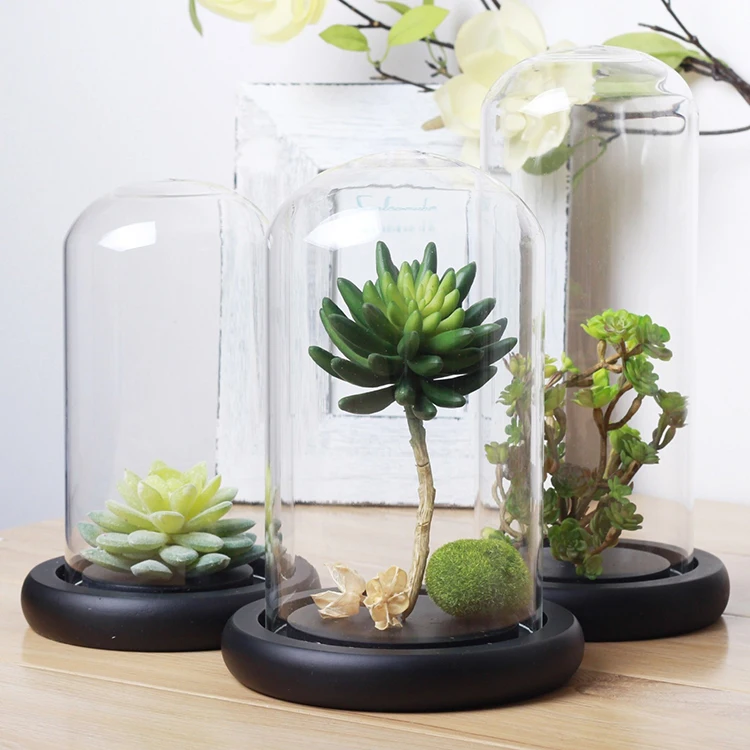 Китайское стекло Cloche недорогое купольное с черной основой из Искусственного Дерева небольшое количество готовое к продаже
