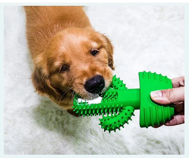 Hot Selling Cactus Design Pet gift set Chew Teething Rubber Low Price Promotion Toy Set for Aggressive Chewers