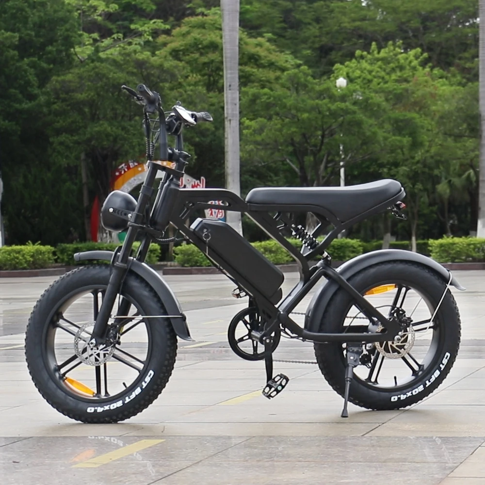 Oem Factory Electric Bicycle a Todo Terreno Electric Bicycle 2000w 3000w Display E Bikes Steel Customized Logo Lithium Battery