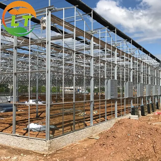 Multi-span Glass Greenhouse With High Yield Outstanding Economic Benefits