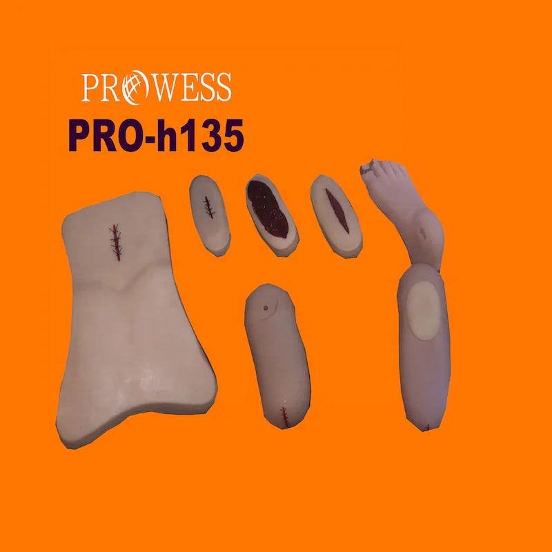 PRO-H135 Advanced Full function nursing training model(male)&nursing training manikin