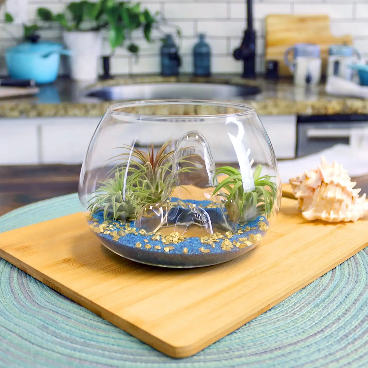 OEM Treasure Island Air Plant Terrarium Terrario De Plantas De Vidrio Mini Terrarium Kit