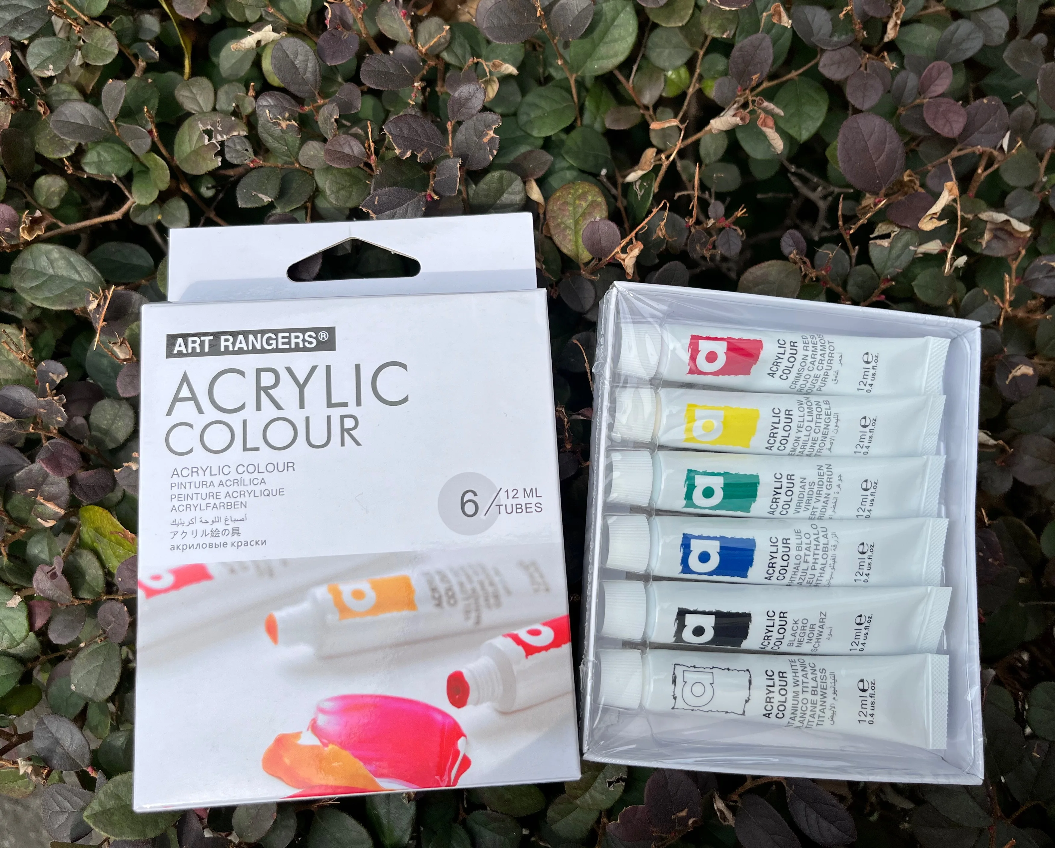 Art Rangers acrylic/gouache/oil/watercolor paint set 12ml*6colors for art painting