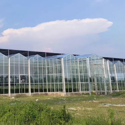 Сельскохозяйственная теплица Venlo Glass Multi span, теплица из закаленного стекла, теплица с гидропонной системой выращивания