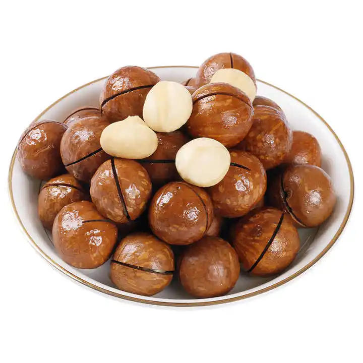 Top quality rich nutrition organic macadamia nuts south africa delicious macadamia roasted