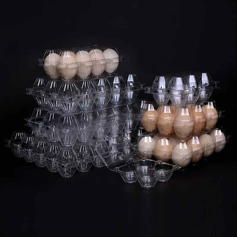 Reusable Clear Plastic Egg Tray Carton holds Packaging for Chicken Farm