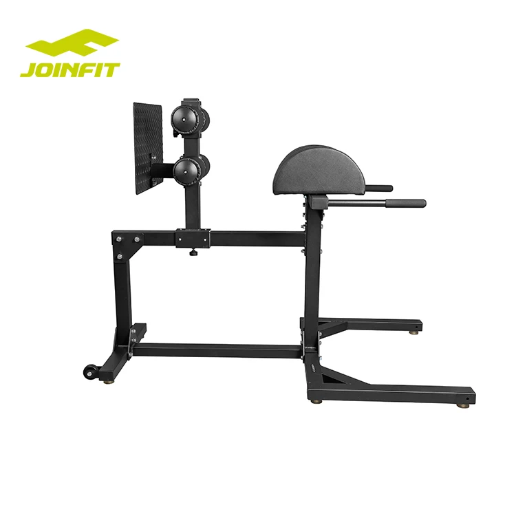 equipment adjustable roman chair