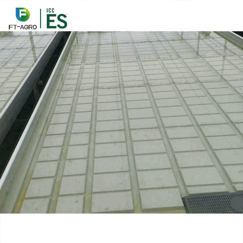 Agricultural equipmentHot sale and best selling Seeding Bed For Vegetable Growing