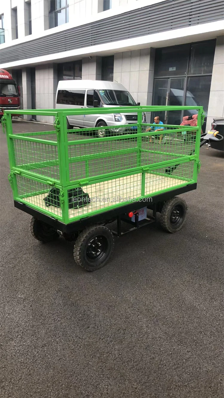 electric cart (1).jpg