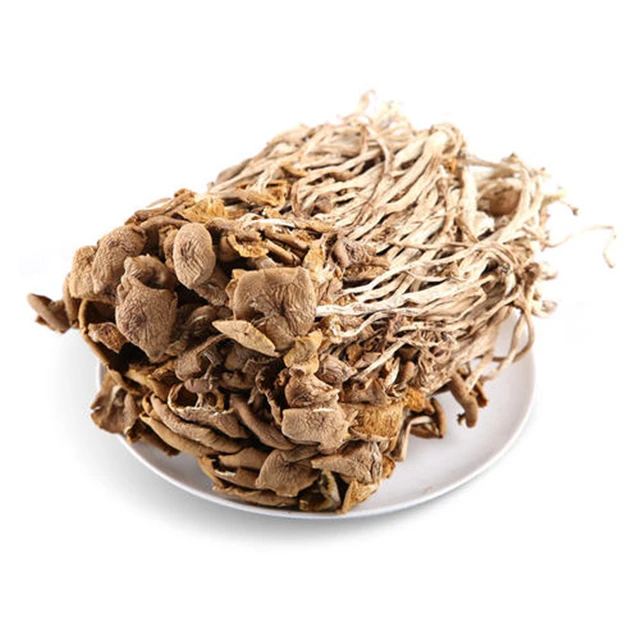 Полёвки цилиндрические экстракт/чайного дерева гриб/полёвка cylindracea порошок