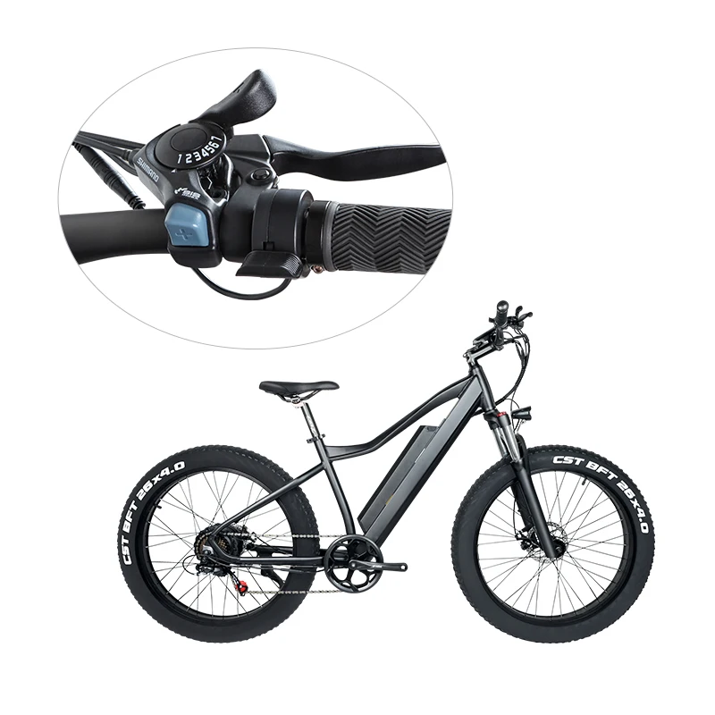 26*4,0 750W 1000W high power Fat Tire electric mountain E bike/