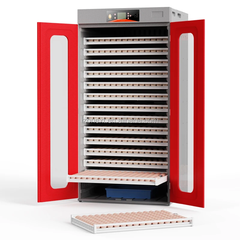incubator egg hatching machine
