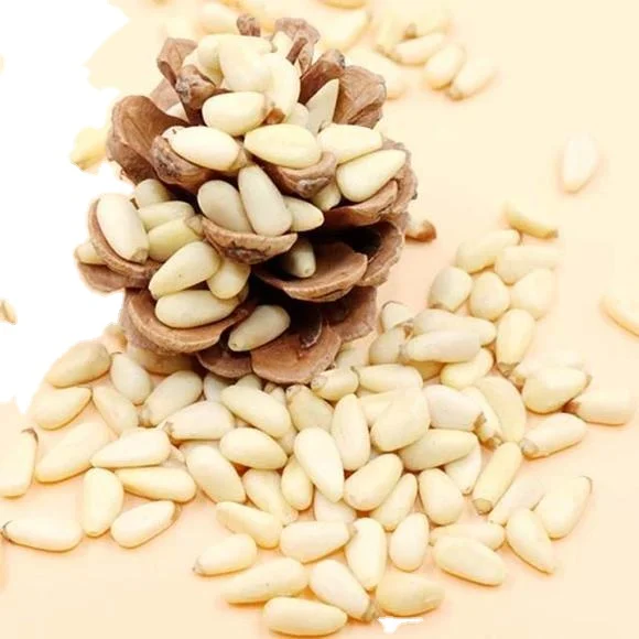 Top Pine Nuts Packaging Organic Pine Nuts USA 1 kg of Pine Nuts