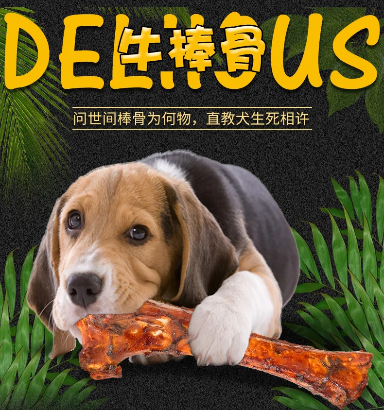 Good Quality Pet Treat Food Eco-friendly Stocked Promotions Quality large Cow bones
