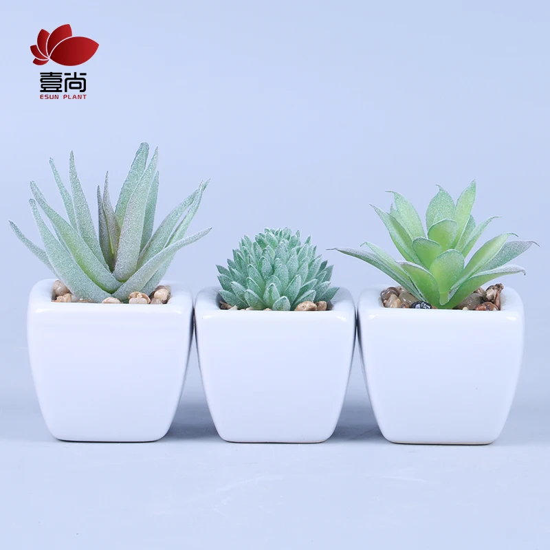 ES1165 3pcs Set Succulents Artificial Green Plants With Pots Decoration For Balcony Table Desktop