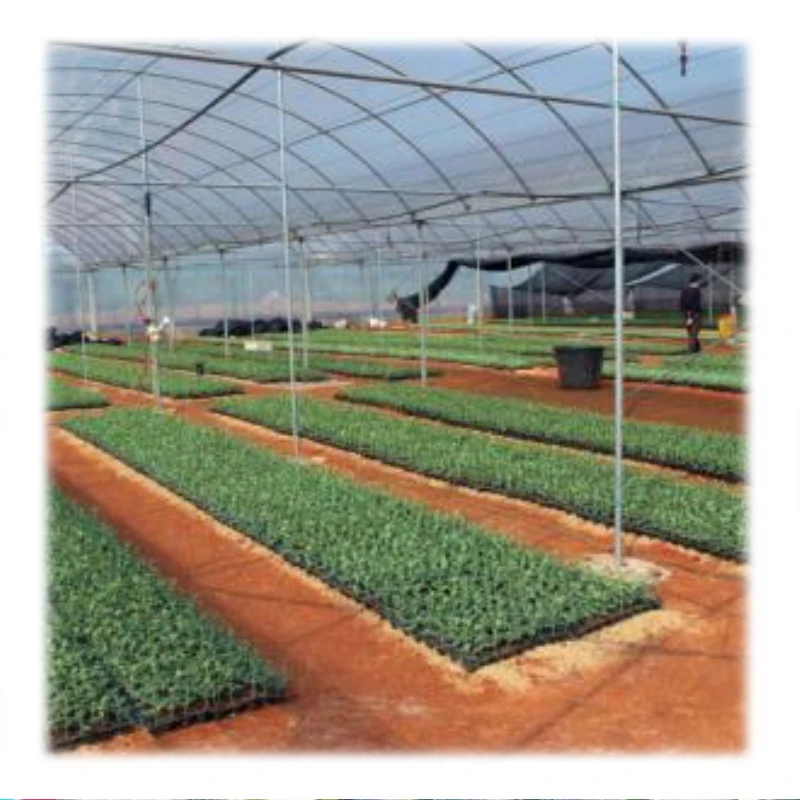 Green house agricultural large plastic film greenhouse China factory