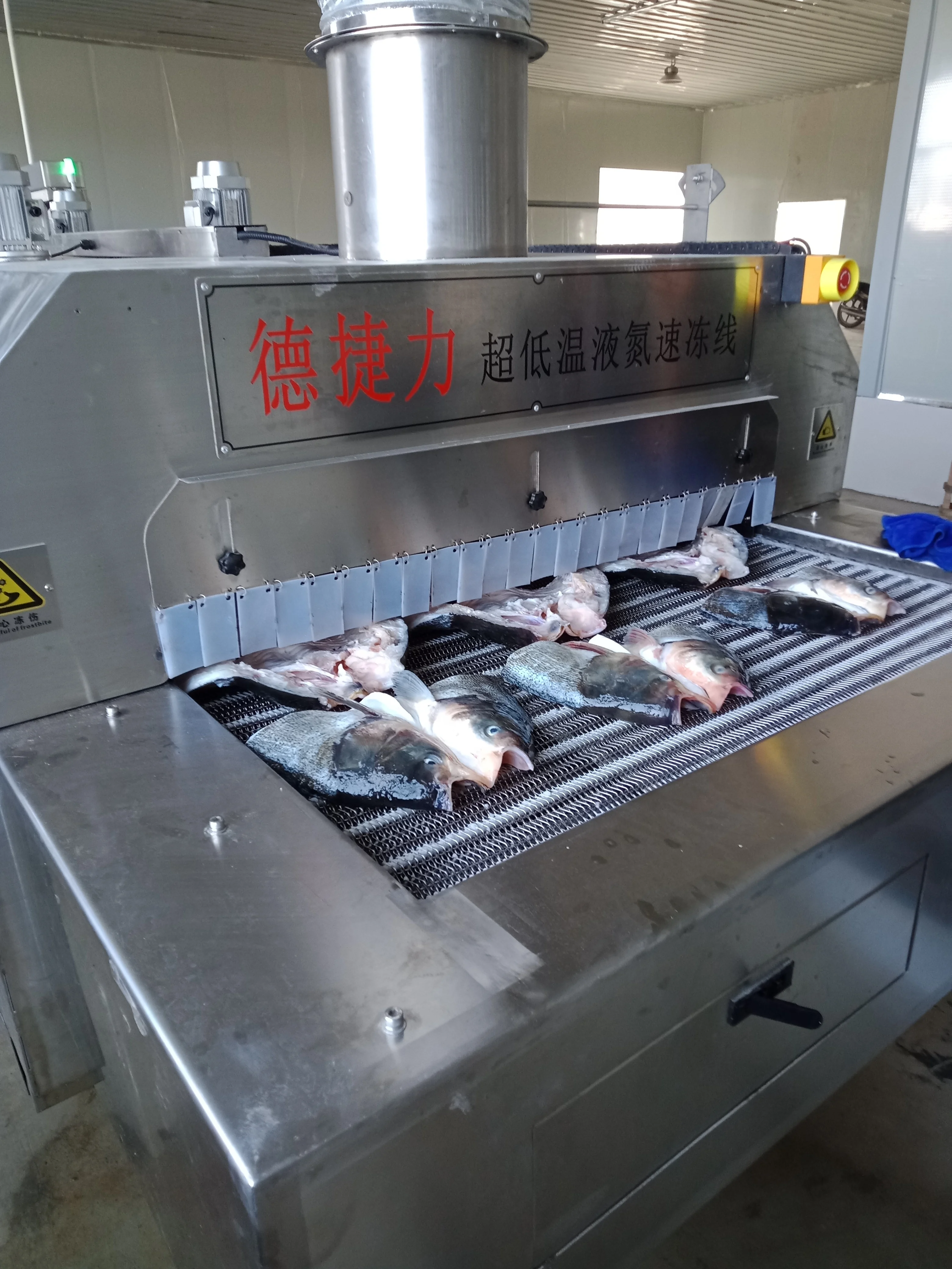 DJL china made individual quick freezing liquid nitrogen tunnel freezer for fish head