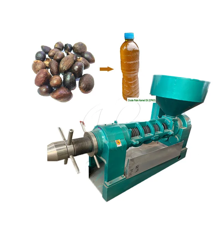 Small scale palm kernel oil processing machine for palm kernel oil factory price stainless steel produced for Equatorial Guinea