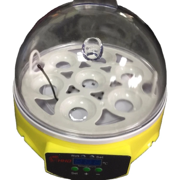 Outstanding Design 7 Eggs Incubator Small Size High Quality for Children Education