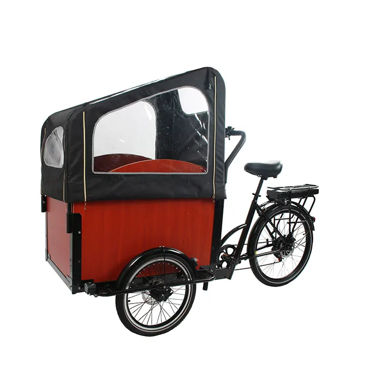 2022 electric cargo bike with alloy frame middle motor cargo tricycle /Family electric adult cargo bike carry kids/Electric biks