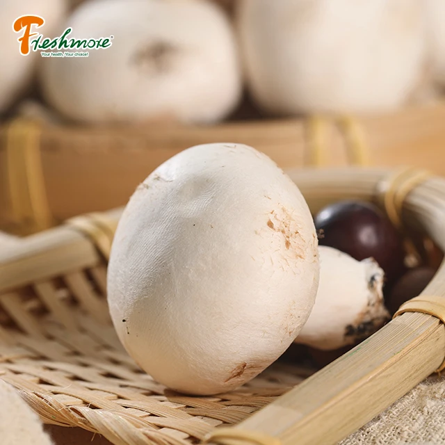 Finc grow spaw  agriculture mushroom fresh cottage white mushroom