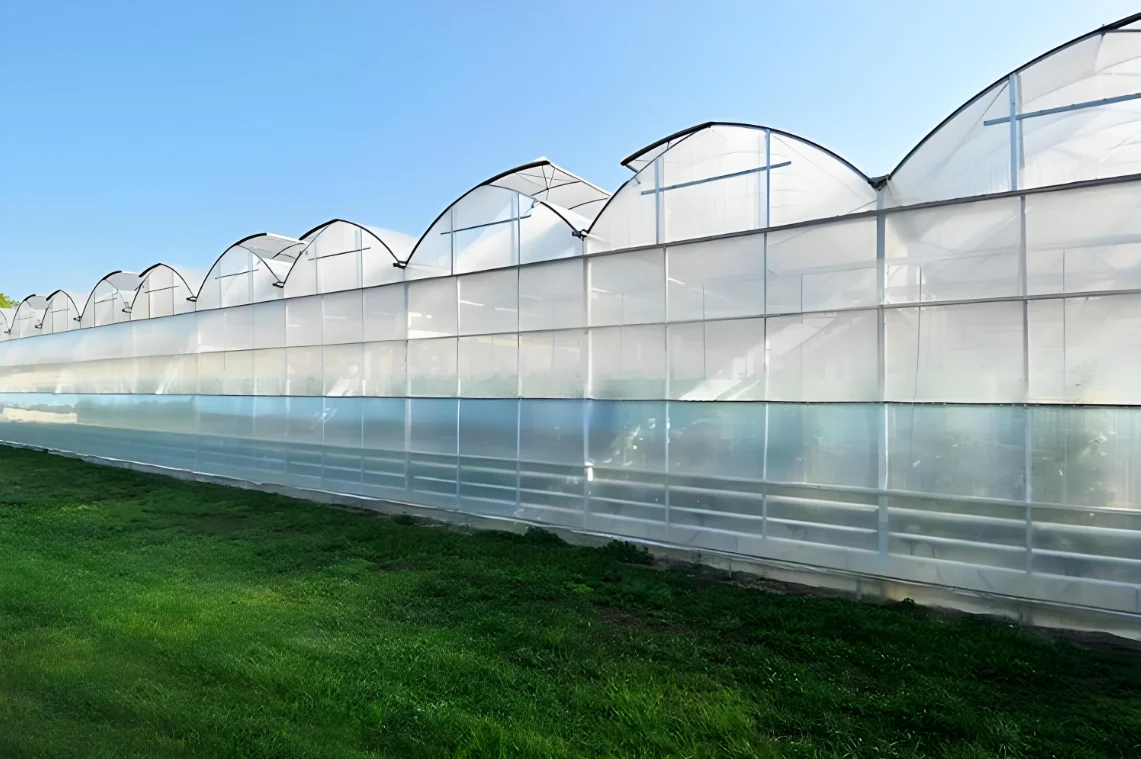 Easy to assemble,robust and steady large multi-span greenhouse for ornamental plants