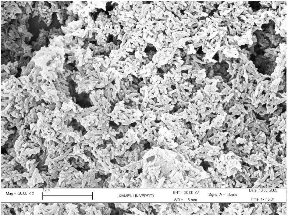 Factory Wholesale Price Food Grade Hydroxyapatite Tooth Powder 200nm 60nm Nano Hydroxyapatite Powder