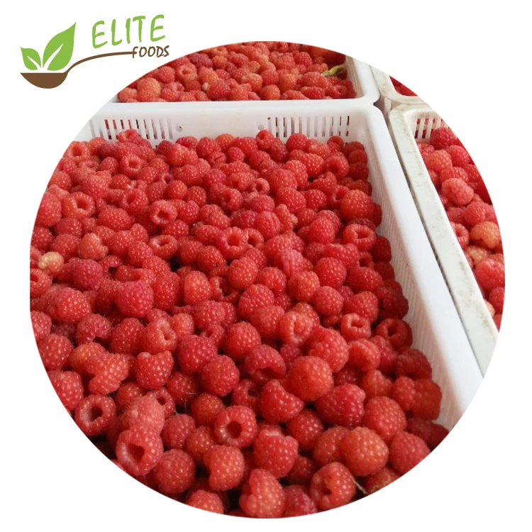 IQF Frozen Raspberries IQF Frozen Whole Red Raspberry Frozen Red Raspberries Professional Supplier