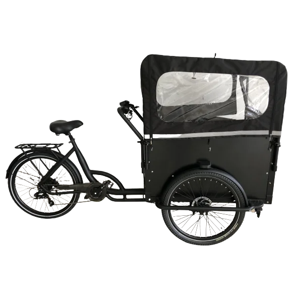 Wuxi United Velomobile 48V250W New 3 wheel etrike bicycle 2021 cargo bike for family cargo bikes prices