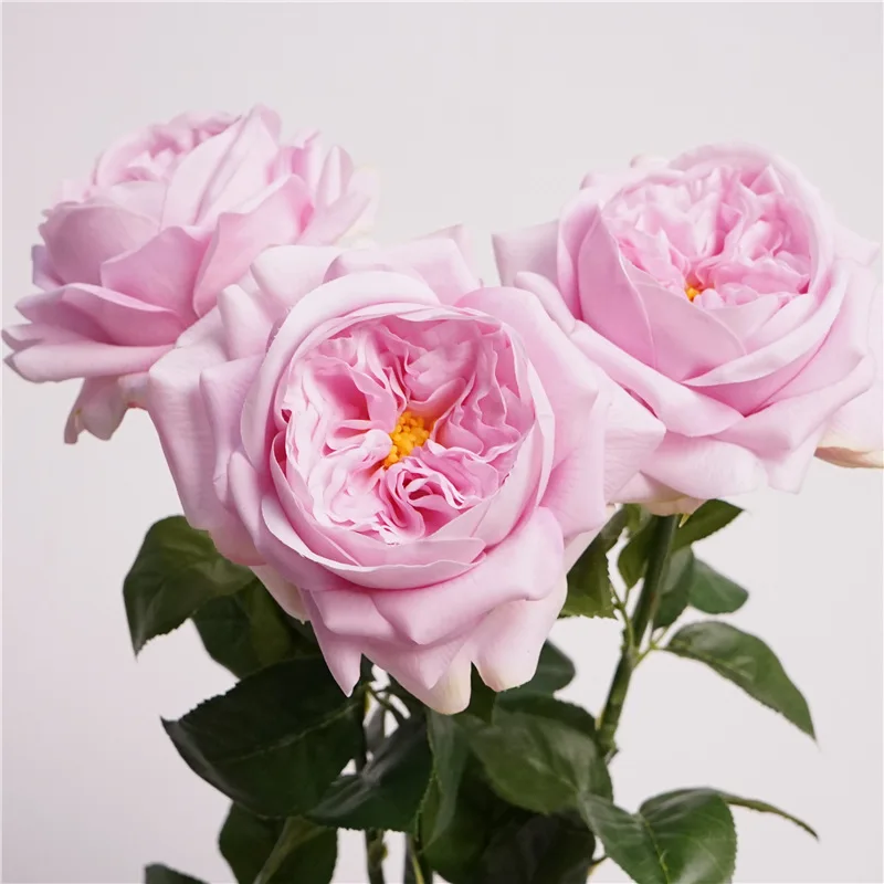 2024 New Juliet Real Touch Hot Pink Roses Artificial Cloth Roses for Christmas Flower Arrangement Decor Latex Rose Stems