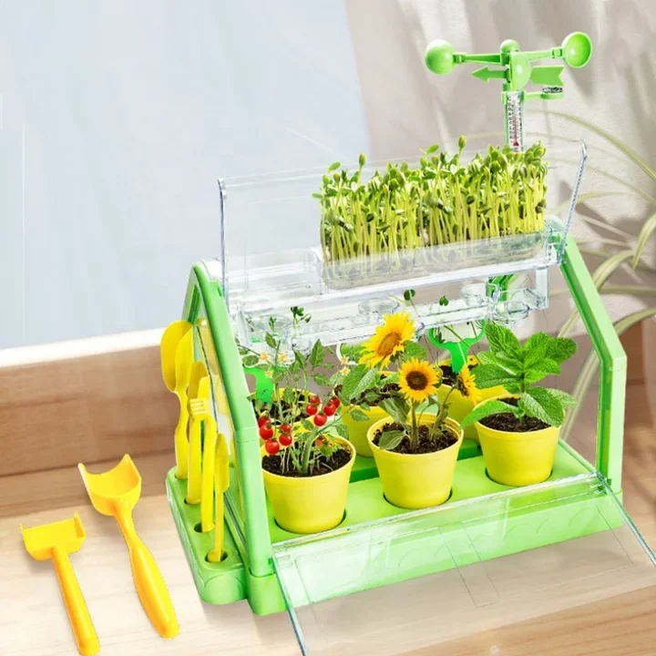 Mini Garden Educational DIY Gift Set Flower Growing Kit with Paint Tool for Little Planters for 2-4 and 5-7 Years